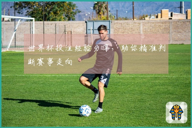 世界杯投注经验分享，助你精准判断赛事走向