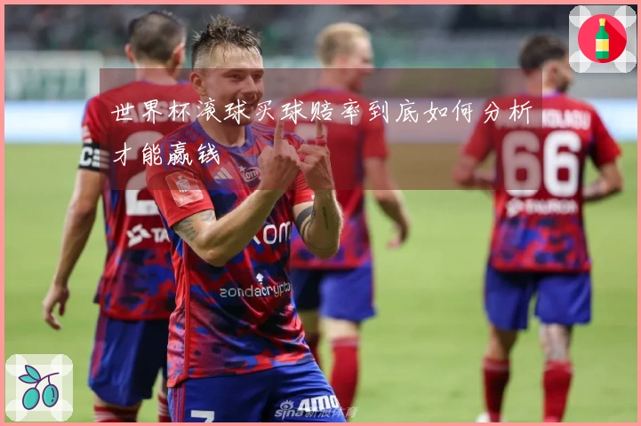 世界杯滚球买球赔率到底如何分析才能赢钱