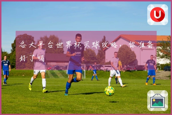 各大平台世界杯买球攻略，你准备好了吗