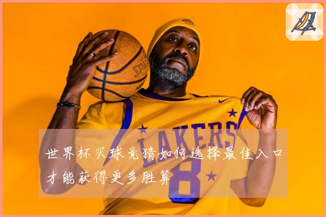 世界杯买球竞猜如何选择最佳入口才能获得更多胜算