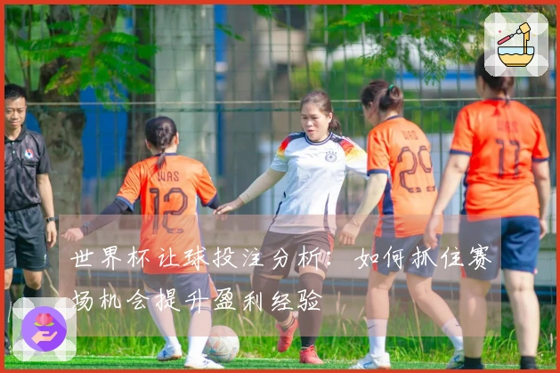 世界杯让球投注分析：如何抓住赛场机会提升盈利经验
