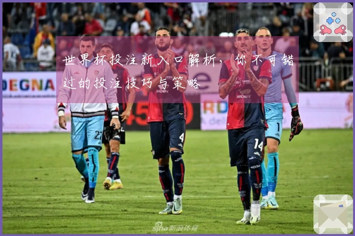 世界杯投注新入口解析，你不可错过的投注技巧与策略