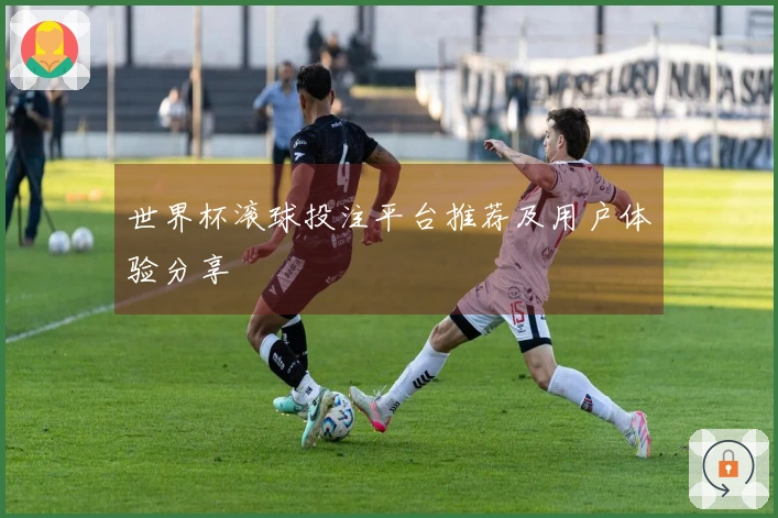 世界杯滚球投注平台推荐及用户体验分享