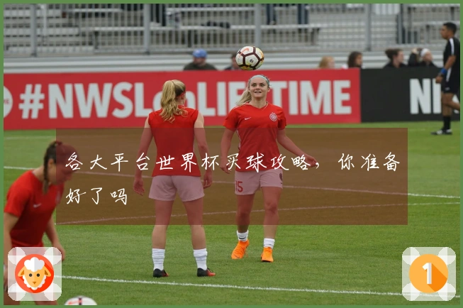 各大平台世界杯买球攻略，你准备好了吗