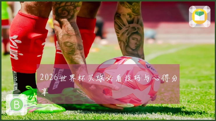 2026世界杯买球必看技巧与心得分享