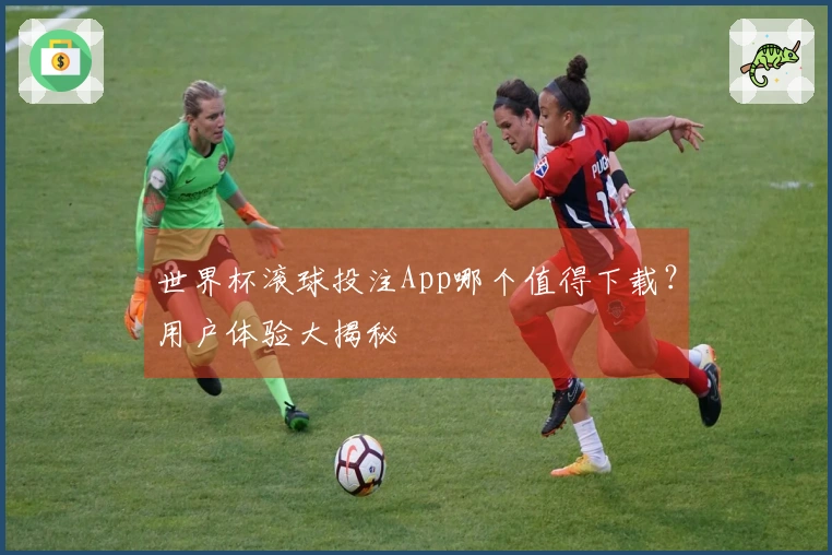 世界杯滚球投注App哪个值得下载？用户体验大揭秘